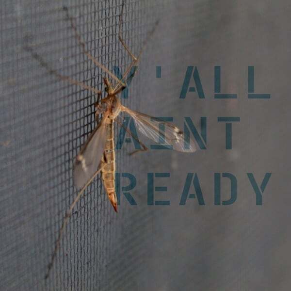 Cover art for Y'all Aint Ready